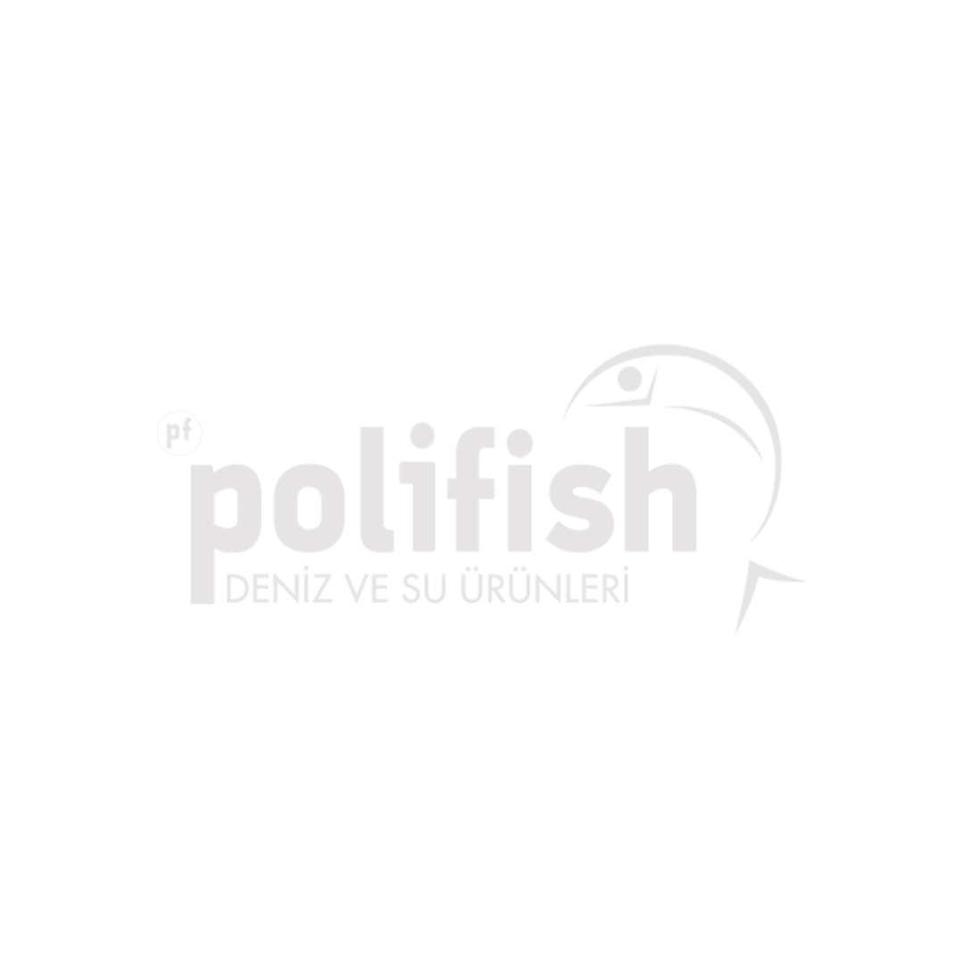 Polifish Deniz ve Su Ürünleri
